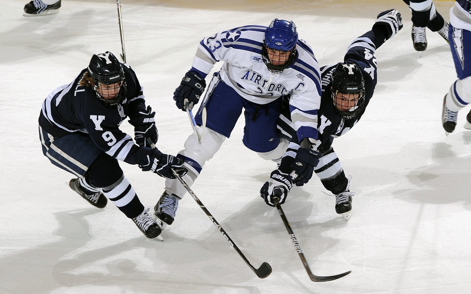 本土新秀首秀惊艳，媒体封其为明日之星，明日之星创始人