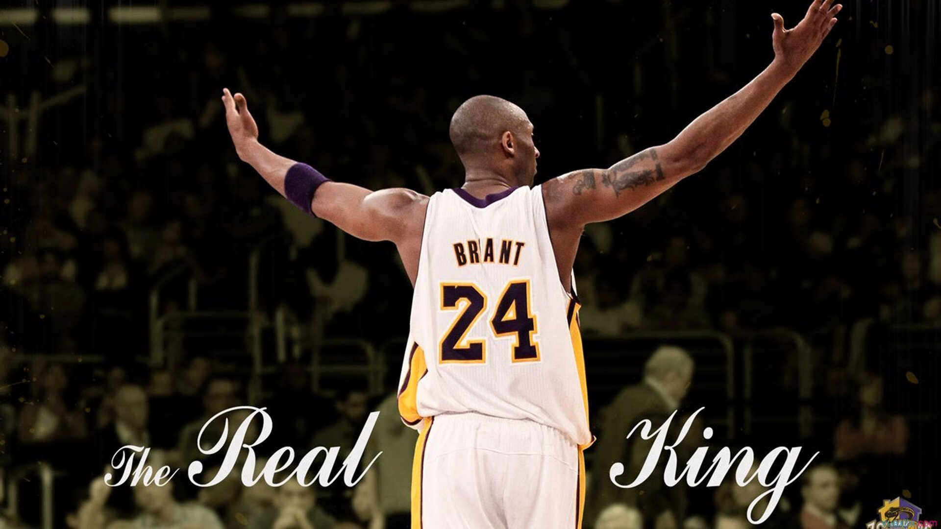 科斯决赛发挥稳定成大赢家，科科斯卡